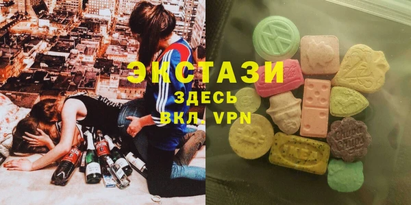 меф Ельня