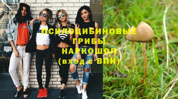 не бодяженный Елизово